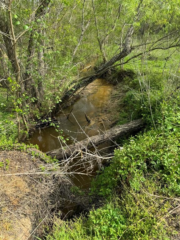 TBD County Road 394, El Campo, Texas image 22