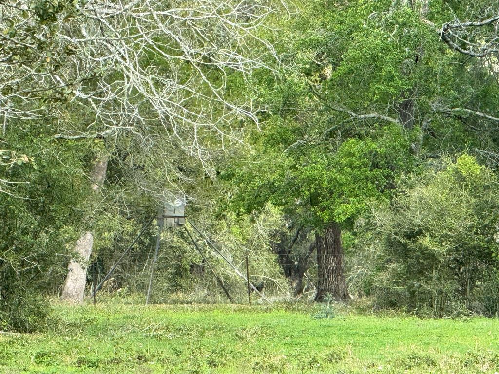 TBD County Road 394, El Campo, Texas image 42