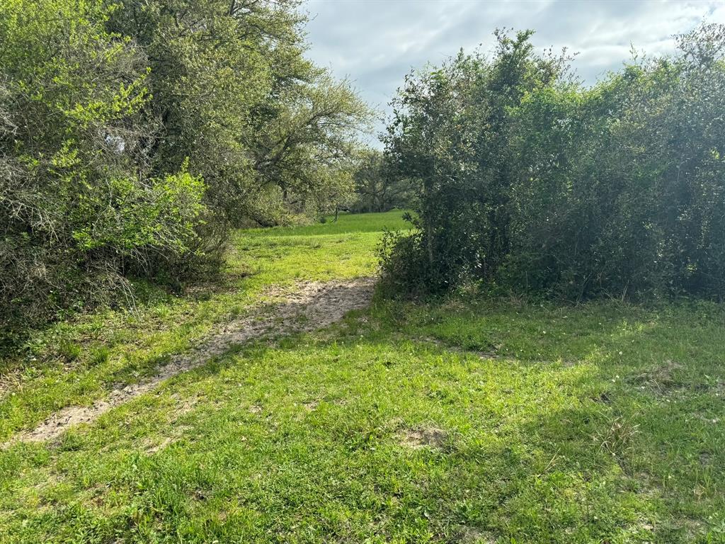 TBD County Road 394, El Campo, Texas image 15