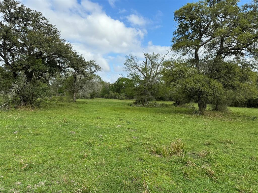 TBD County Road 394, El Campo, Texas image 41