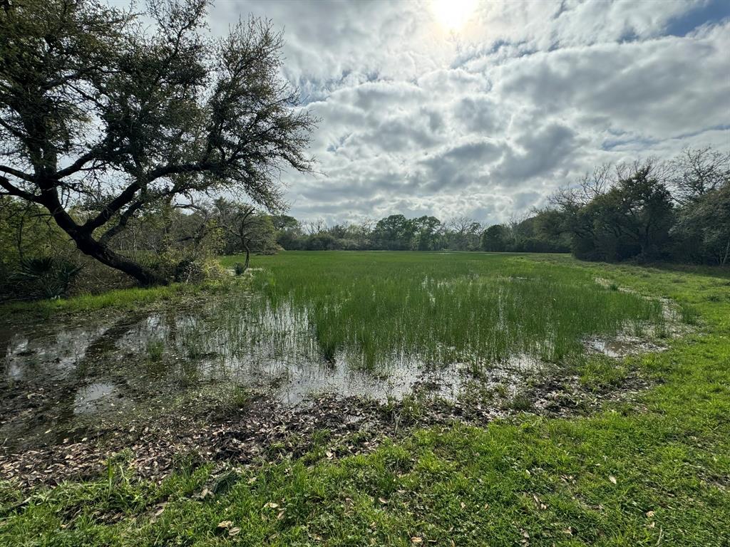 TBD County Road 394, El Campo, Texas image 13