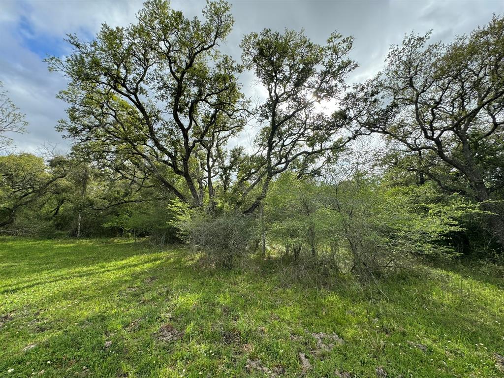 TBD County Road 394, El Campo, Texas image 37