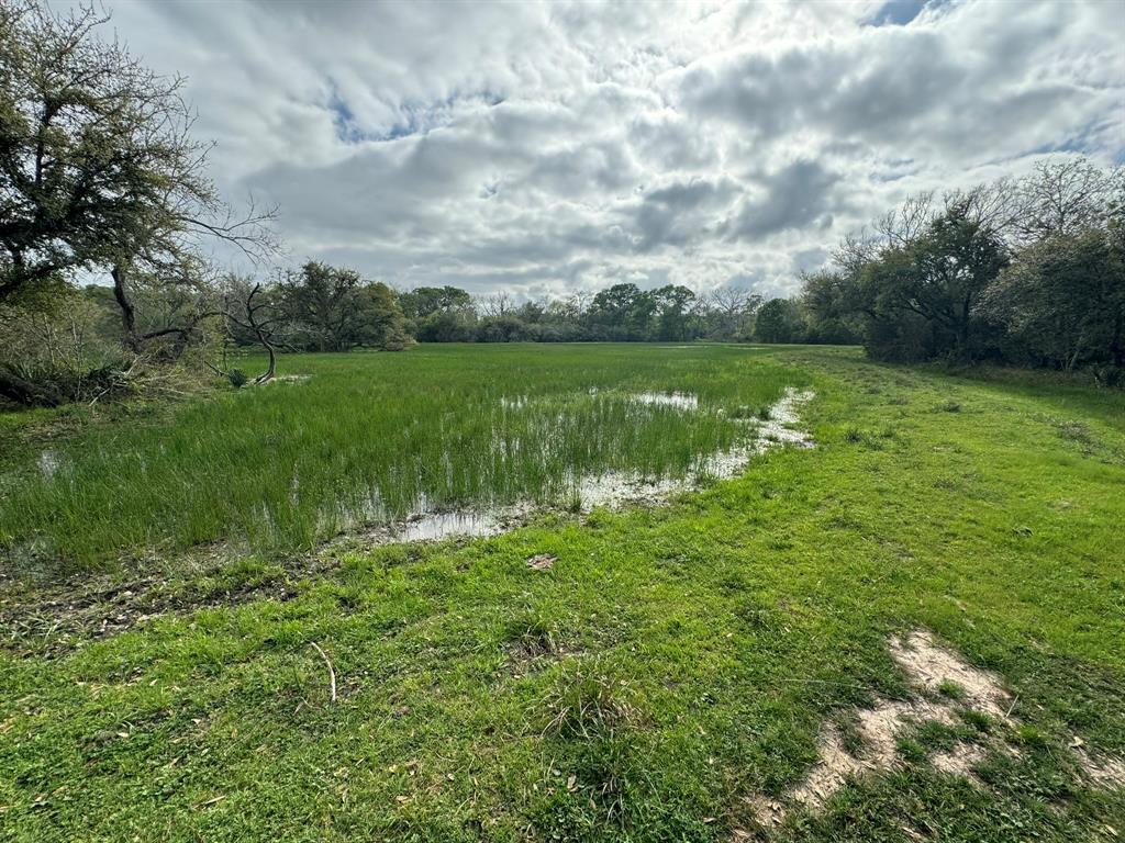 TBD County Road 394, El Campo, Texas image 8