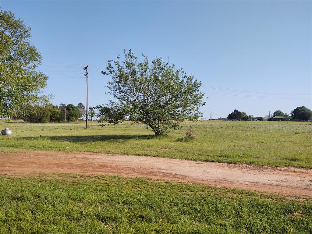 1428 Fm 228, Grapeland, Texas image 6