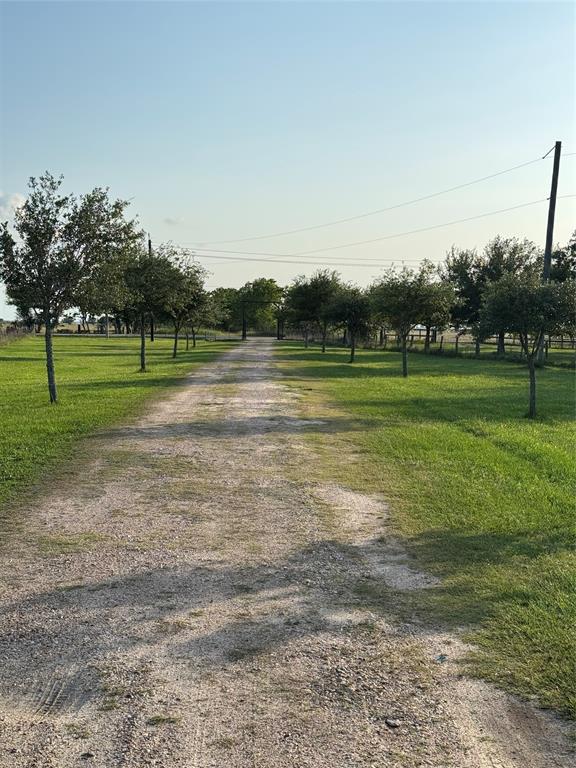 2310 Hopkins Road, Beasley, Texas image 4
