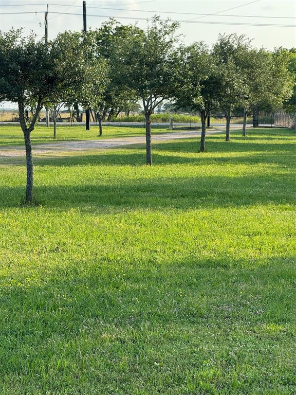 2310 Hopkins Road, Beasley, Texas image 3