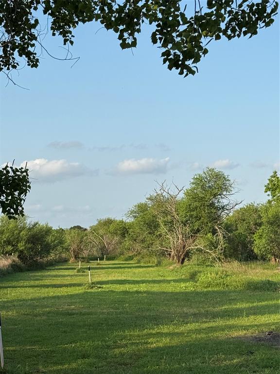 2310 Hopkins Road, Beasley, Texas image 7