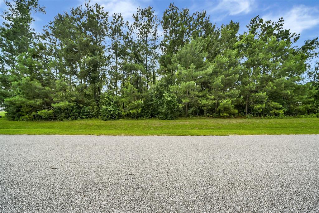5510 Pine Wood Meadows Lane, Spring, Texas image 12