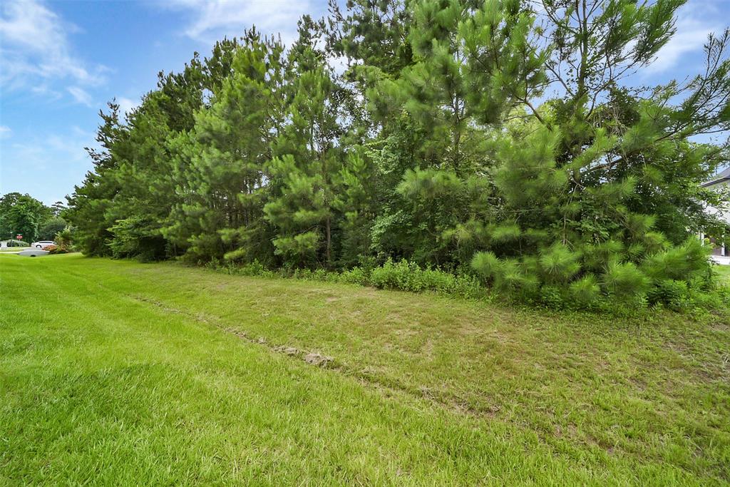5510 Pine Wood Meadows Lane, Spring, Texas image 11