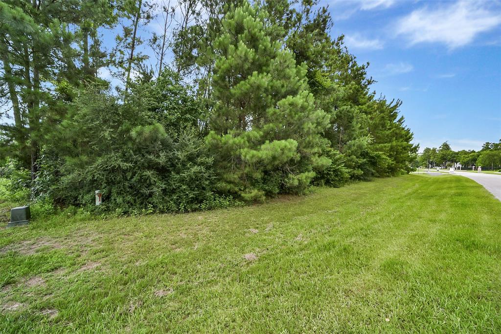 5510 Pine Wood Meadows Lane, Spring, Texas image 10