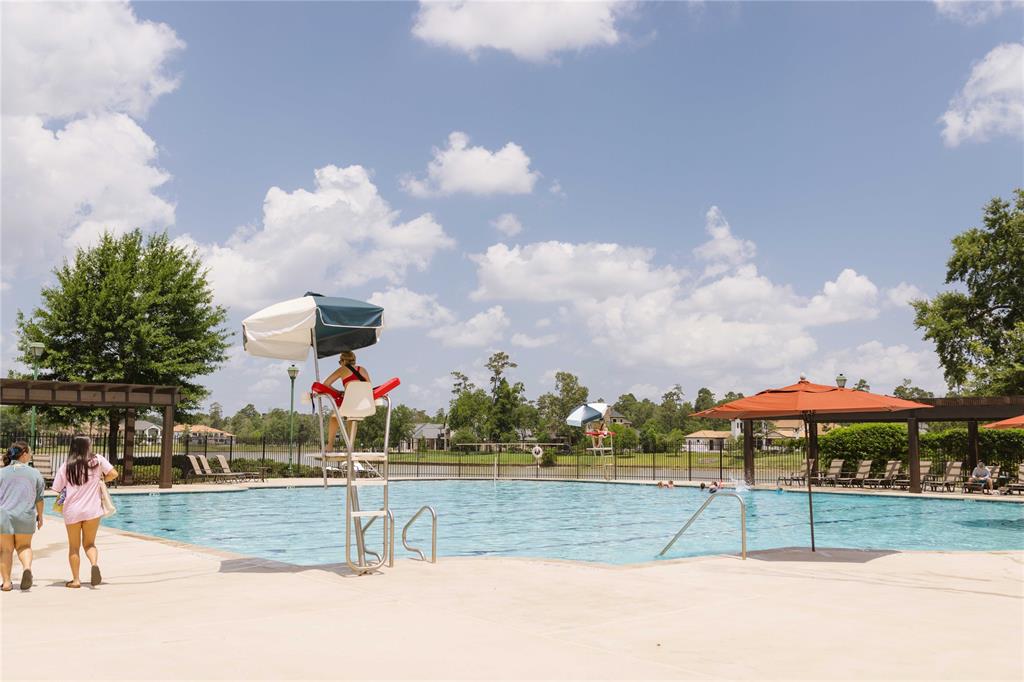 5510 Pine Wood Meadows Lane, Spring, Texas image 19