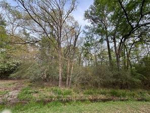 W Settlers Way, Trinity, Texas image 7