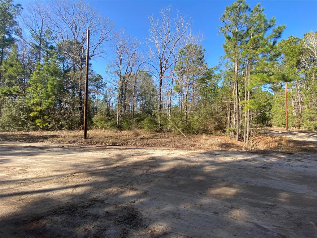 W Settlers Way, Trinity, Texas image 3