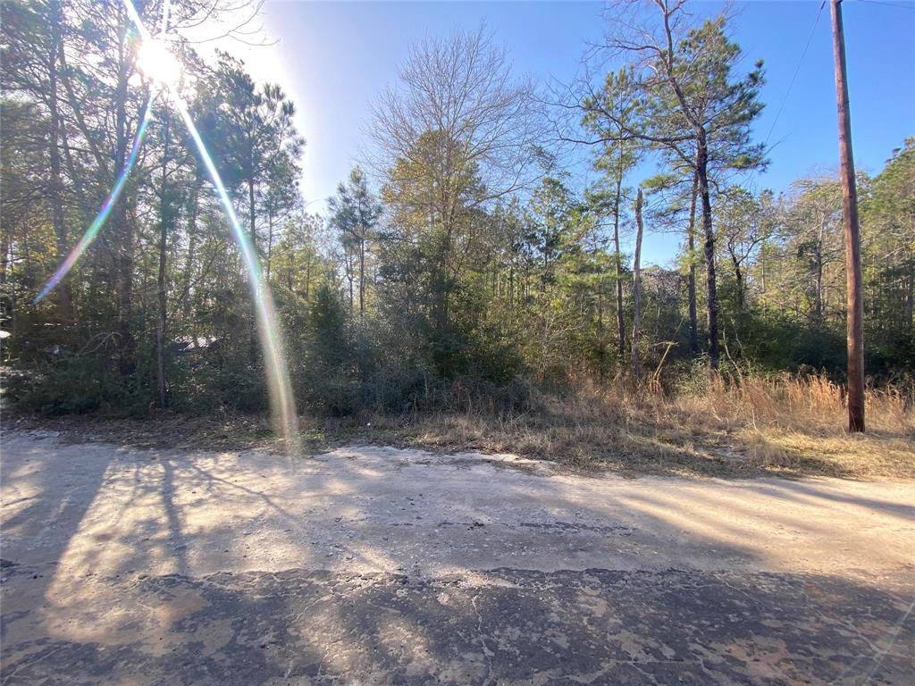 W Settlers Way, Trinity, Texas image 1