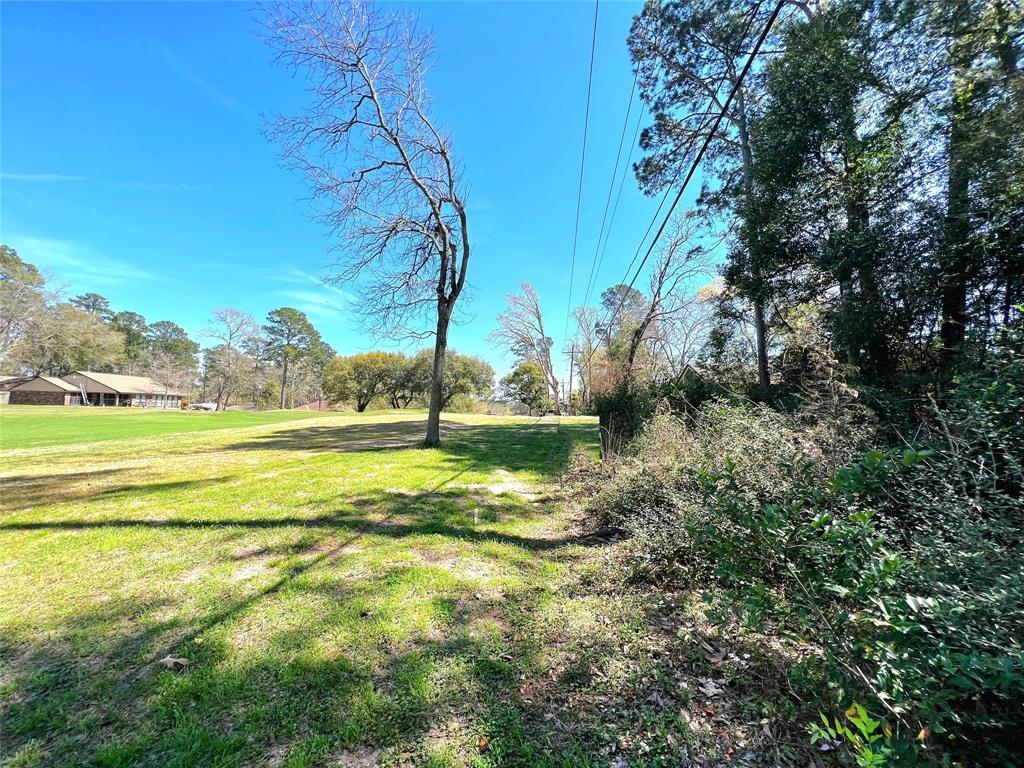 League Line Road, Conroe, Texas image 4