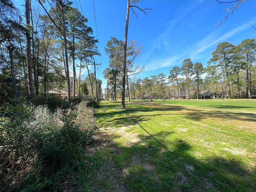 League Line Road, Conroe, Texas image 3