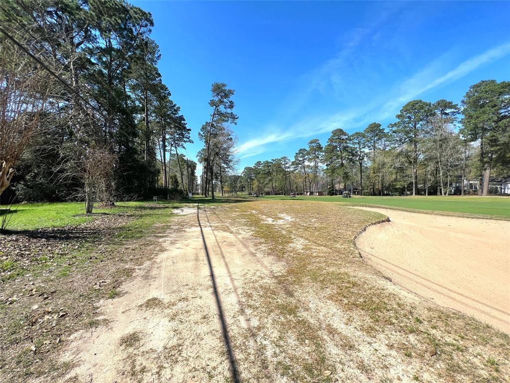 League Line Road, Conroe, Texas image 7