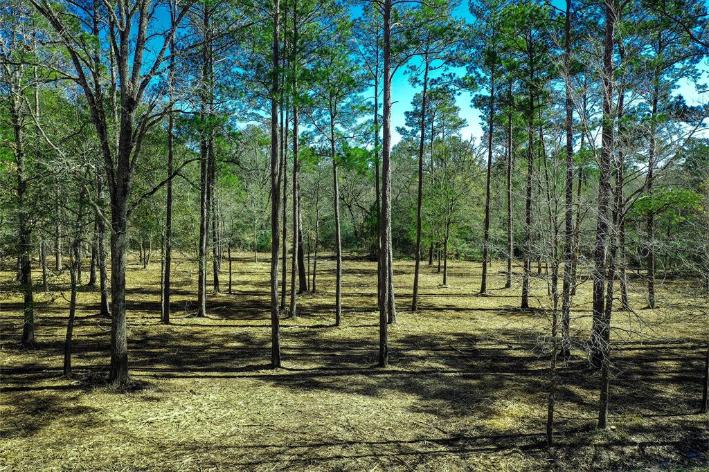 97 Utley Road, Huntsville, Texas image 7