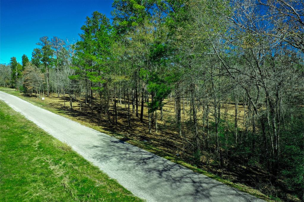 97 Utley Road, Huntsville, Texas image 6