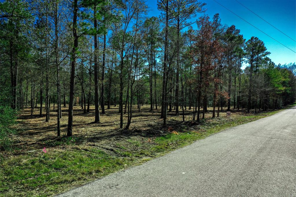 97 Utley Road, Huntsville, Texas image 3