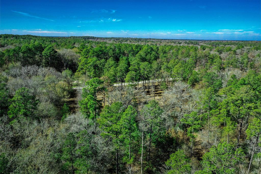 97 Utley Road, Huntsville, Texas image 10