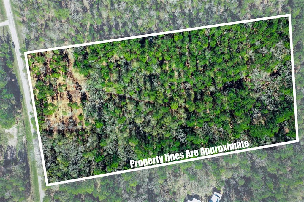 97 Utley Road, Huntsville, Texas image 8