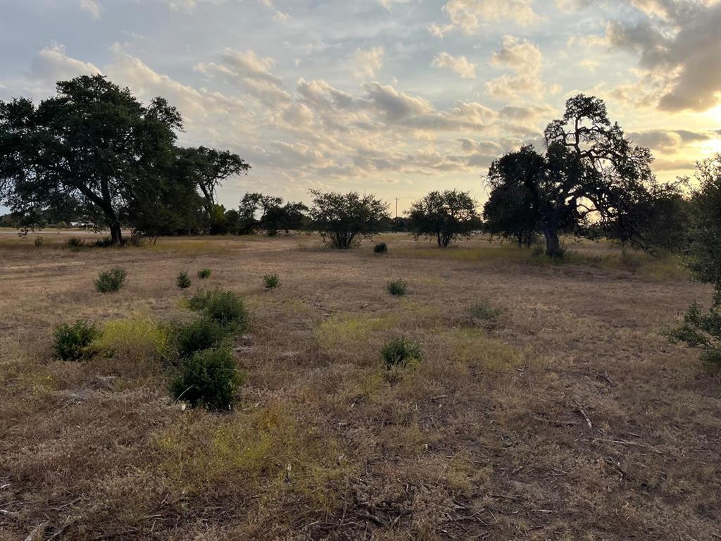 TBD Lot 4 County Road 340 Road, Burnet, Texas image 5