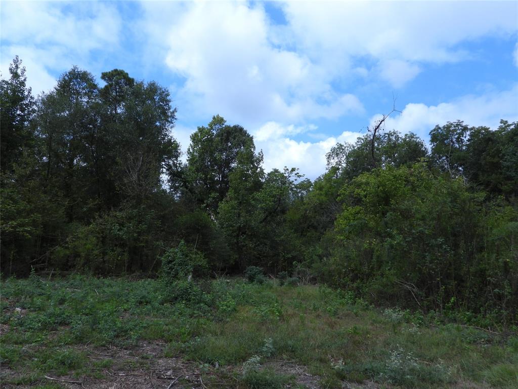 TBD Snowhill Road, Coldspring, Texas image 1