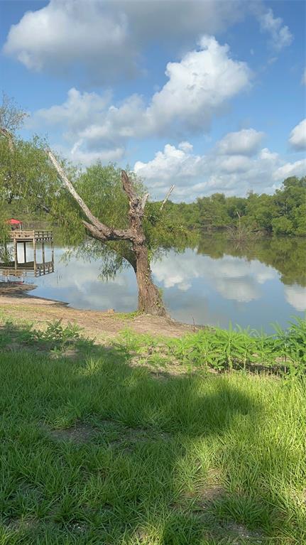 312 County Road 417, Dayton, Texas image 9