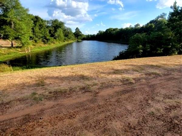 Lot 14 Deerwood, Hempstead, Texas image 6