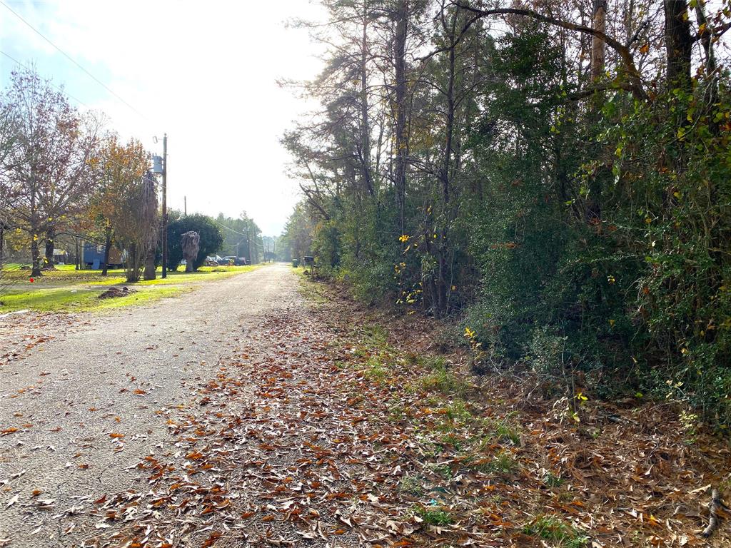 LOT 20 Lula Drive, Huntsville, Texas image 4