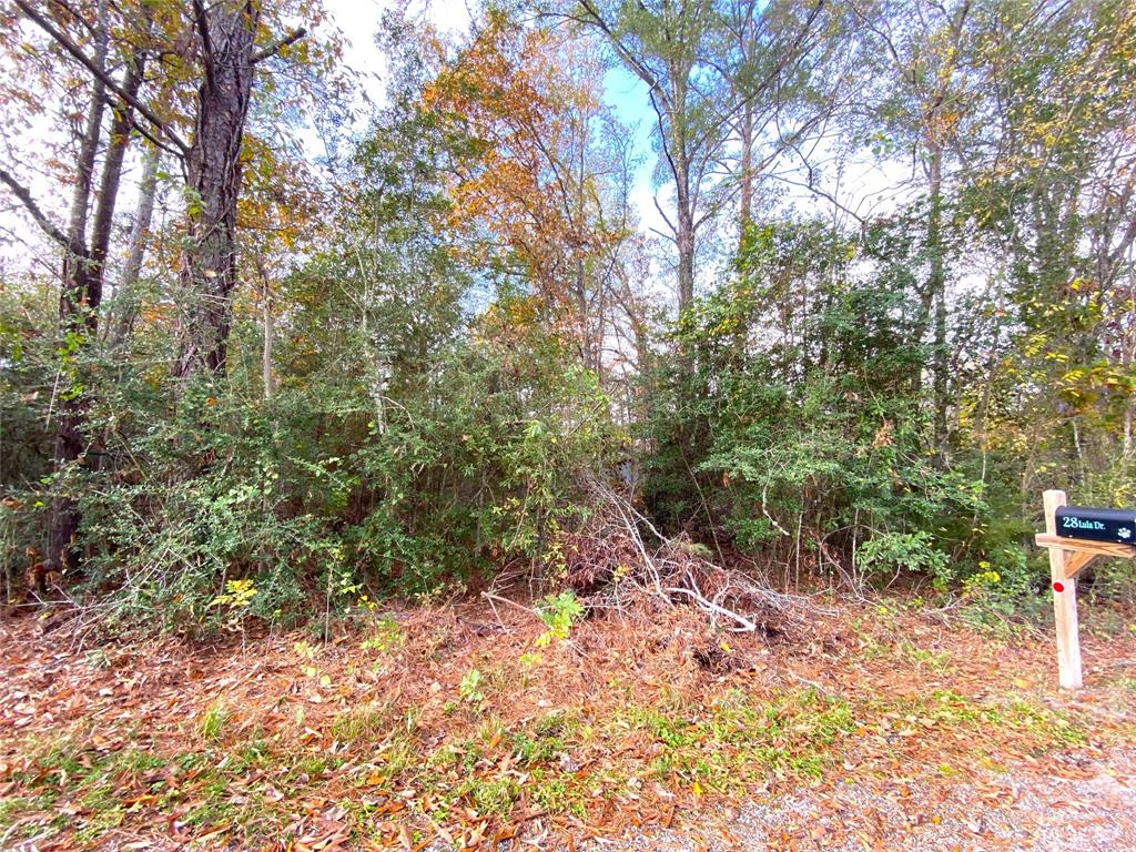 LOT 20 Lula Drive, Huntsville, Texas image 2