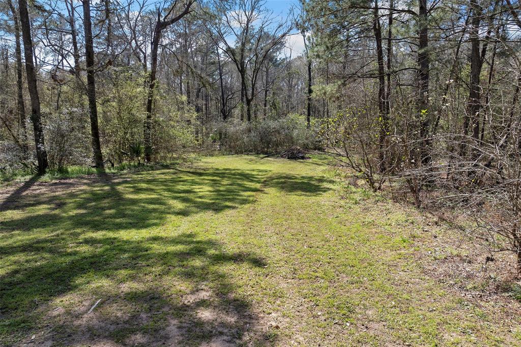 19211 Serpenteer Drive, Porter, Texas image 27