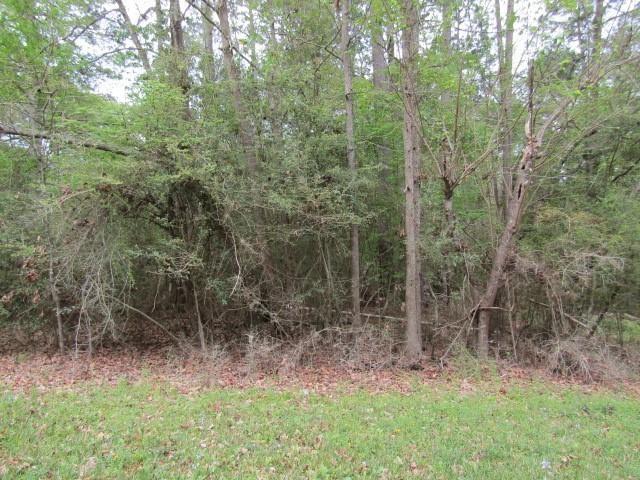 Lot 14 Moose Drive, Onalaska, Texas image 2