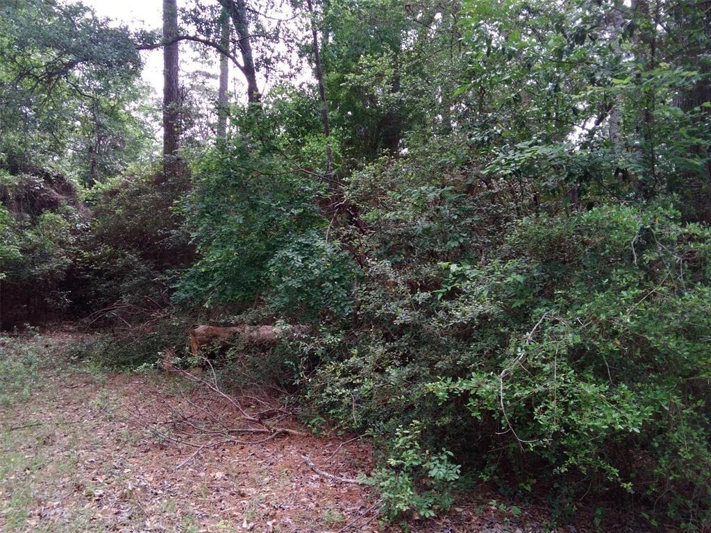 Lot 14 Moose Drive, Onalaska, Texas image 24