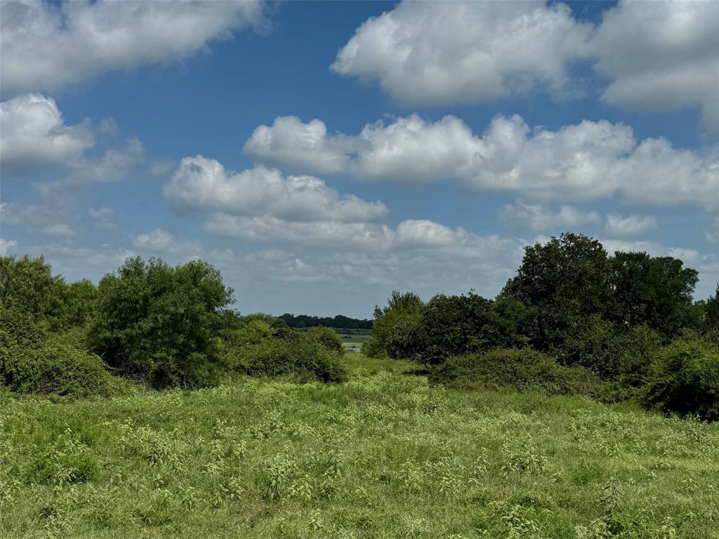 4430 Fm 1457, Round Top, Texas image 17