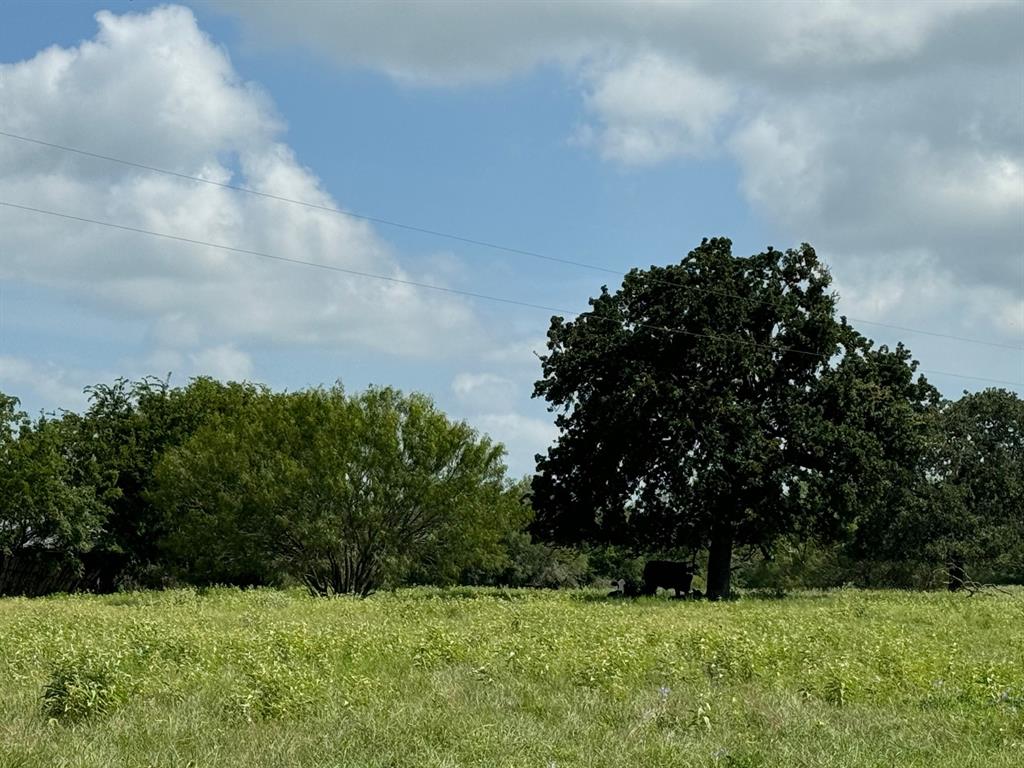 4430 Fm 1457, Round Top, Texas image 4