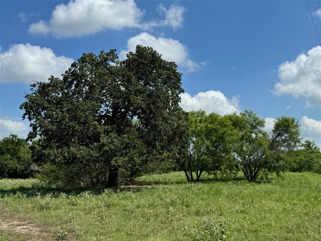 4430 Fm 1457, Round Top, Texas image 16