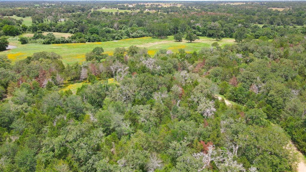 220 Overlook, Somerville, Texas image 6