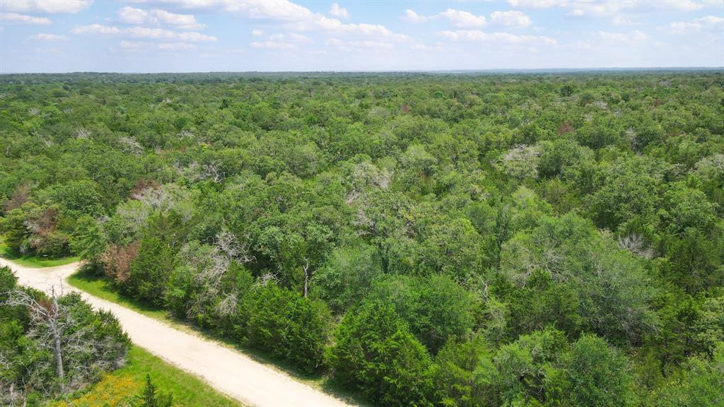 220 Overlook, Somerville, Texas image 3