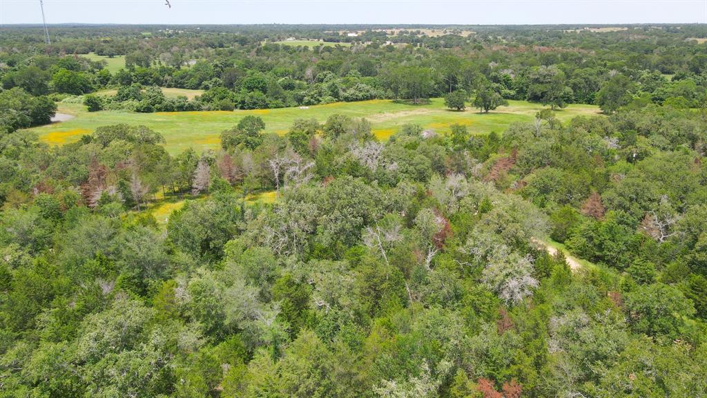 220 Overlook, Somerville, Texas image 4