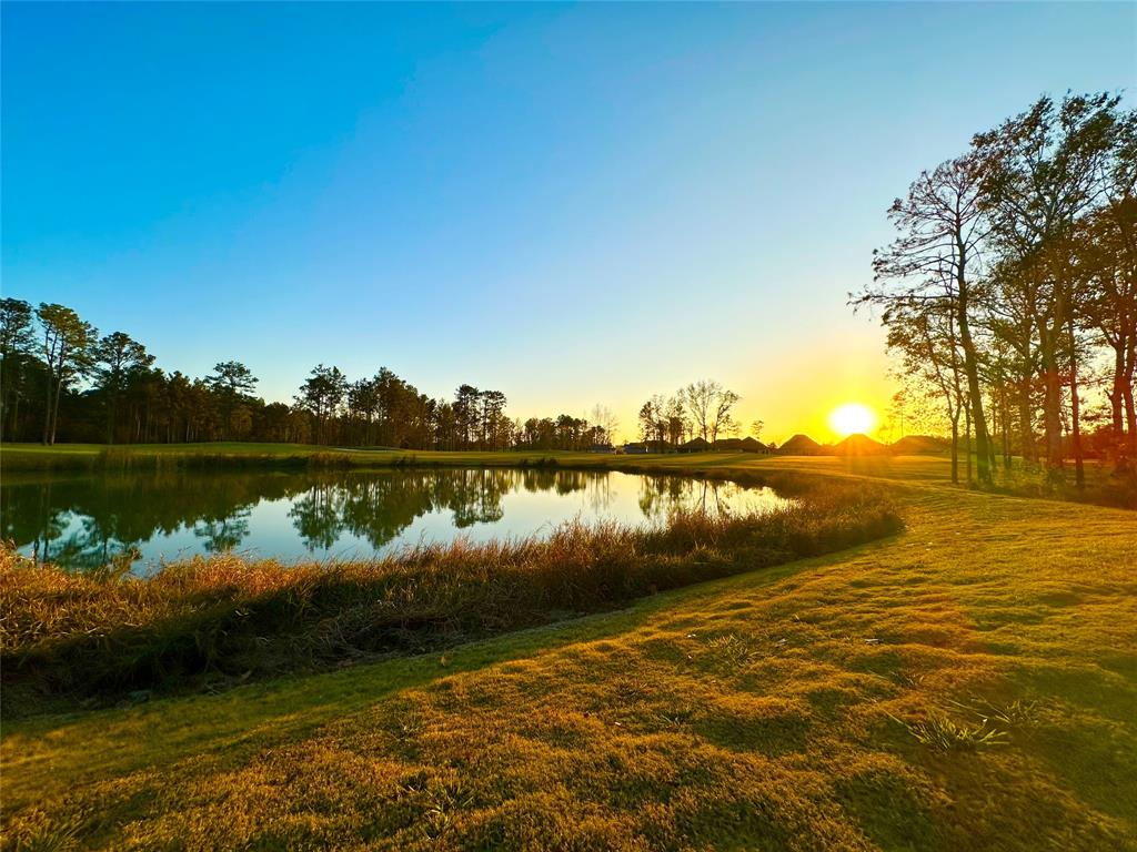 7508 Mckinney Falls Court, Porter, Texas image 34