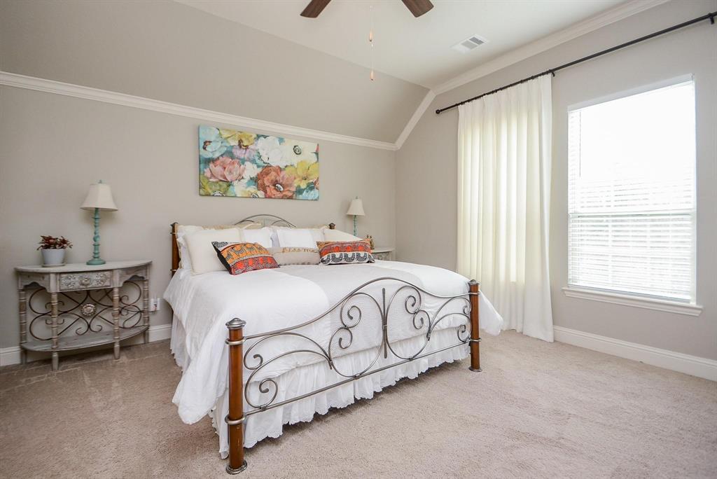 114 Silver Sky Court, Conroe, Texas image 20