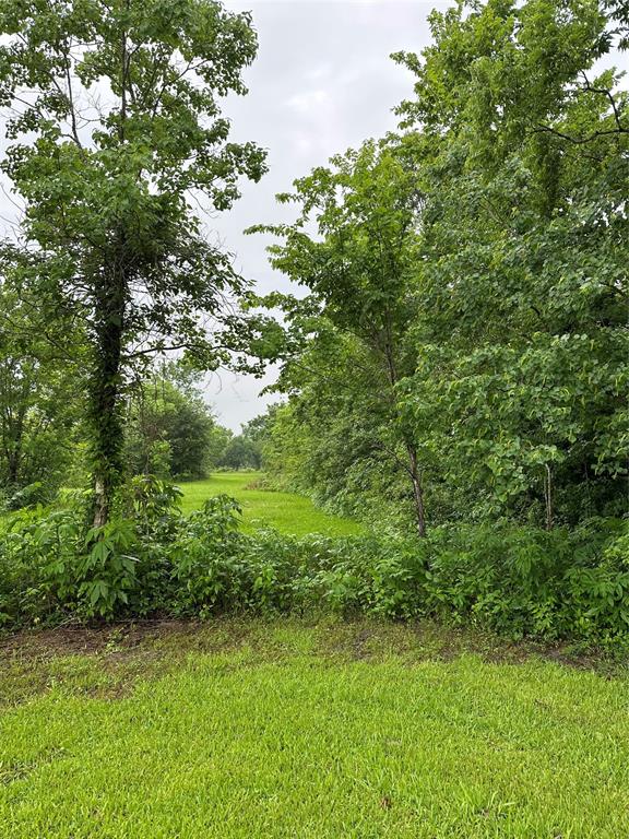 2 County Road 206, Alvin, Texas image 3