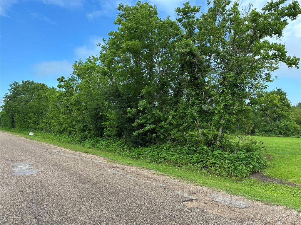 2 County Road 206, Alvin, Texas image 2
