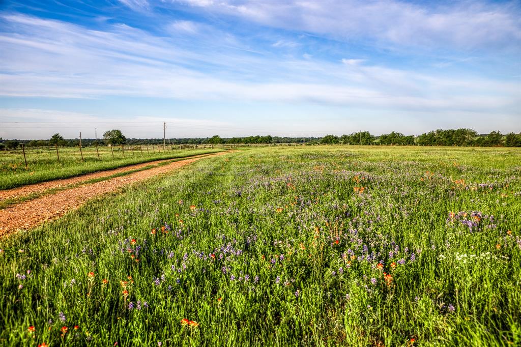 7101 Boehnemann Road, Brenham, Texas image 16