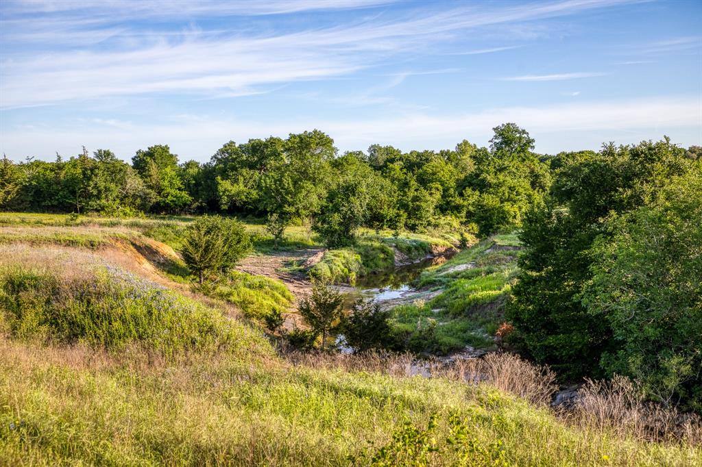 7101 Boehnemann Road, Brenham, Texas image 27