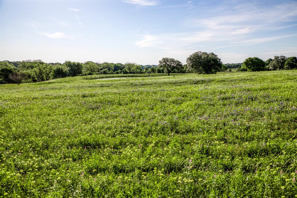 7101 Boehnemann Road, Brenham, Texas image 43