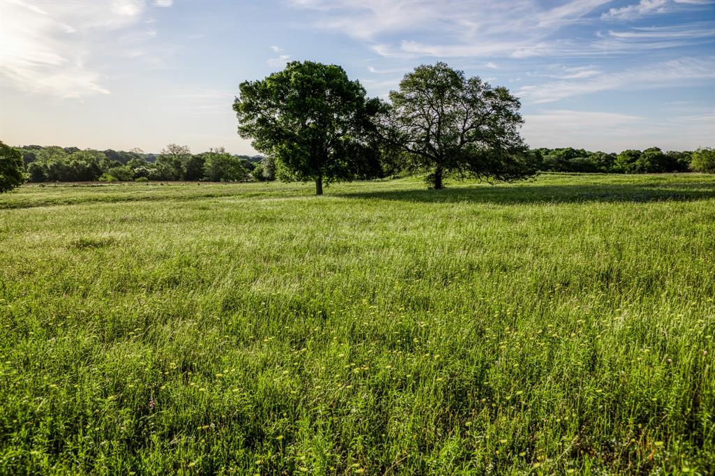 7101 Boehnemann Road, Brenham, Texas image 23