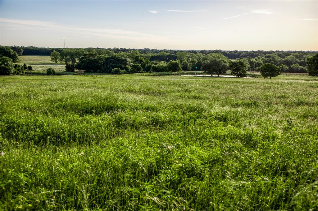 7101 Boehnemann Road, Brenham, Texas image 29